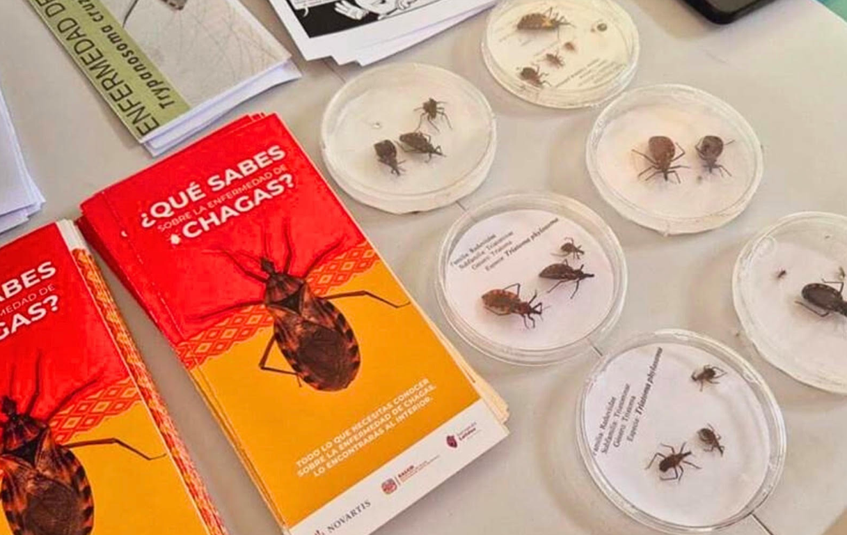 botellas Mane ‘n Tail