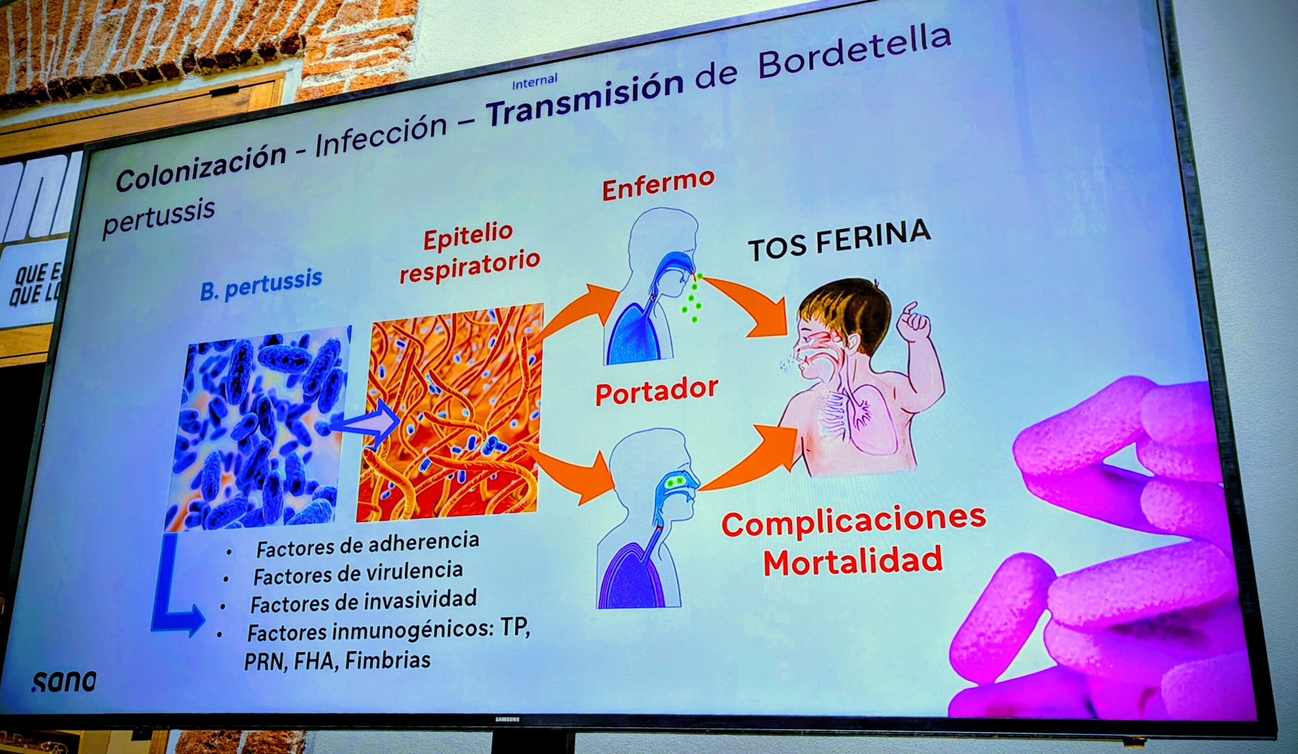 botellas Mane ‘n Tail